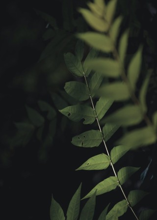 christina-deravedisian-6qcwSrD3ieM-unsplash