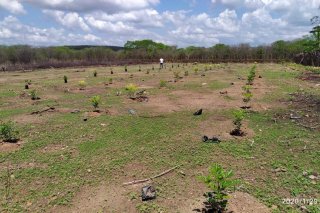 Agrofortsysteme Social Tranches Security KAG